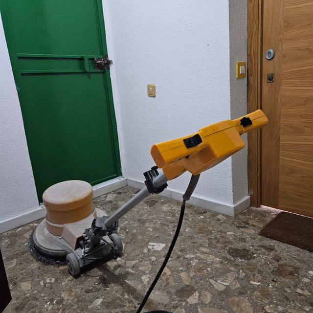 limpieza profesional