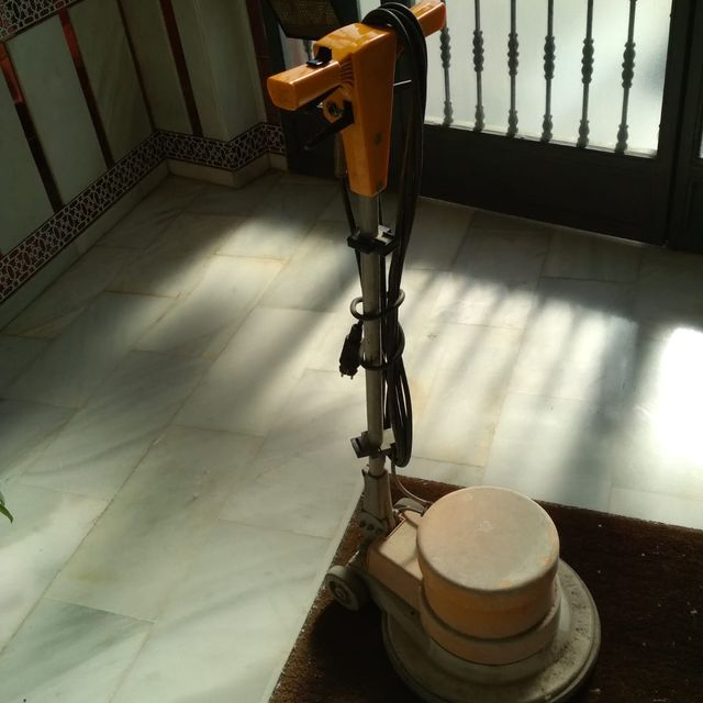 limpieza profesional